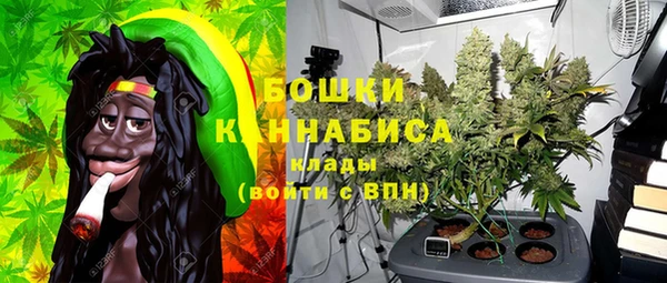 сатива Краснослободск