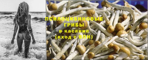 ГАЛЛЮЦИНОГЕННЫЕ ГРИБЫ Красноперекопск