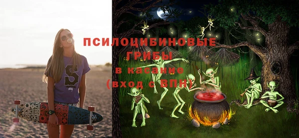 ГАЛЛЮЦИНОГЕННЫЕ ГРИБЫ Красноперекопск