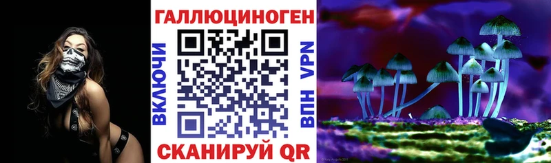 Галлюциногенные грибы Magic Shrooms  Купить  Лихославль 